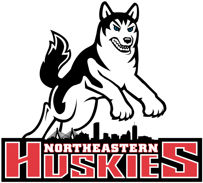 Northeastern Huskies 2001-2006 Primary Logo DIY iron on transfer (heat transfer)